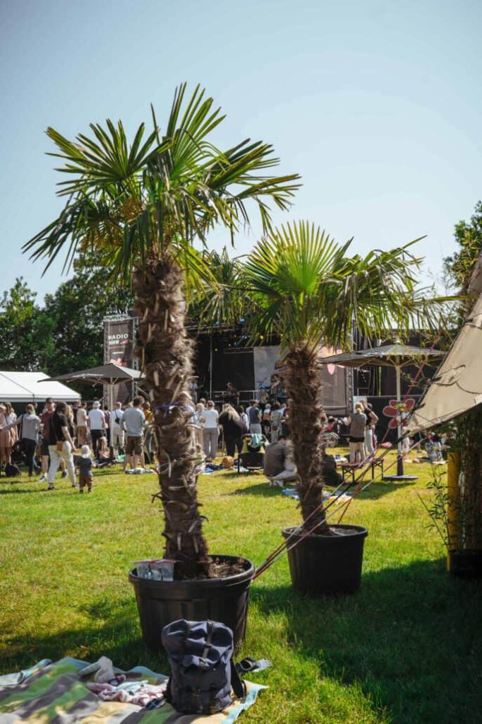 Sommerfestival mit Palmen und Bühne im Freien.
