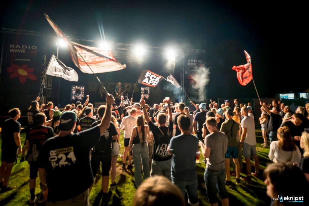 Nachtkonzert mit Publikum und Fahnen auf einem Festival.