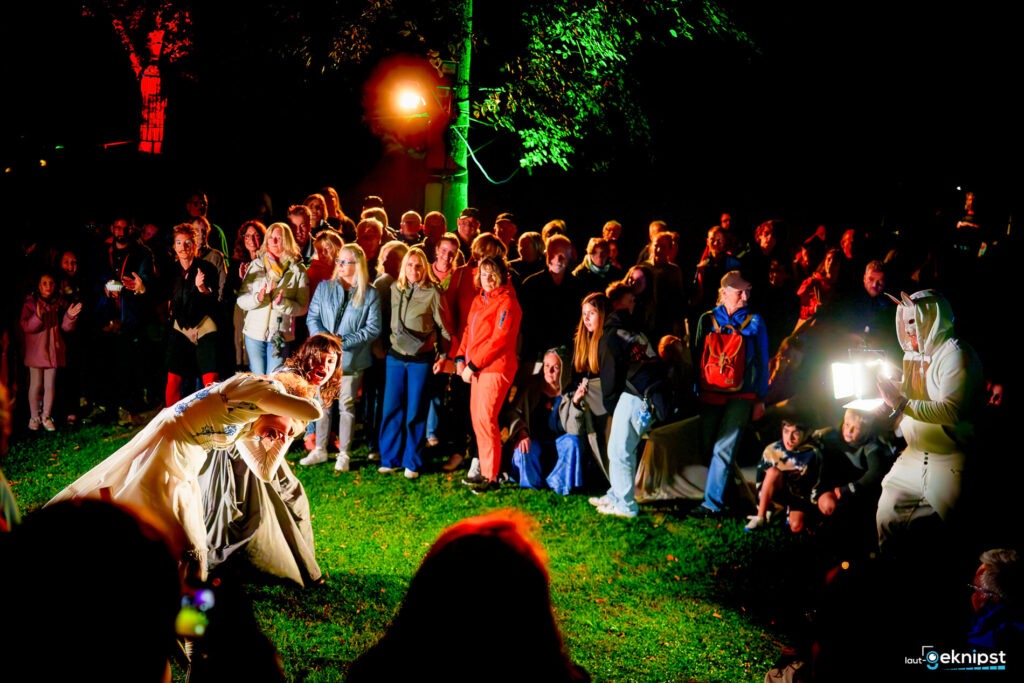 Menschenmenge beobachtet Outdoor-Performance bei Nacht