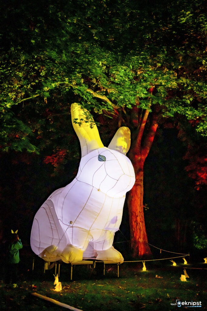 Leuchtender weißer Hase bei Nacht im Park