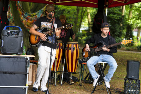 rockfield festival 2026 15