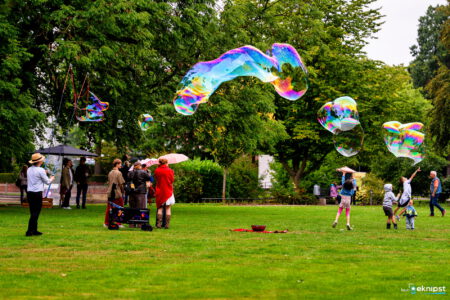 rockfield festival 2026 32