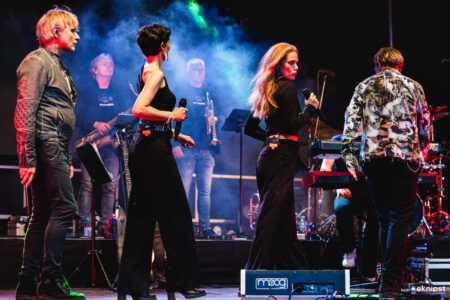 rockfield festival 2026 78